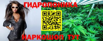 трава Балахна