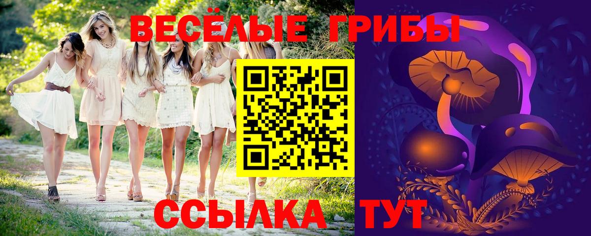 Жуковский  Галлюциногенные грибы Magic Shrooms  Вход с VPN 